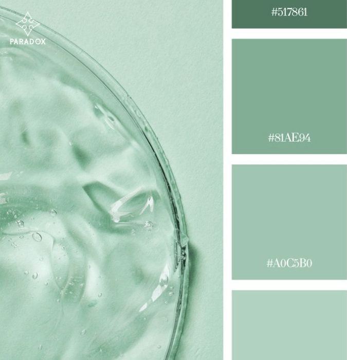 Đôi nét về màu xanh mint Đôi nét về màu xanh mint