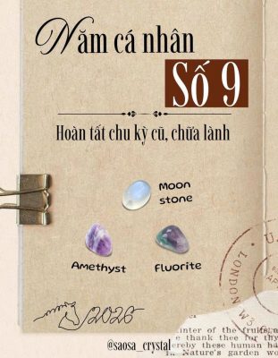 Giải mã ý nghĩa con số chủ đạo trong vận trình năm cá nhân số 9