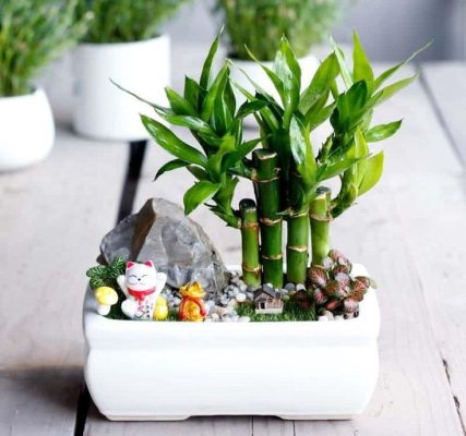 Bài trí theo phong thủy bàn làm việc