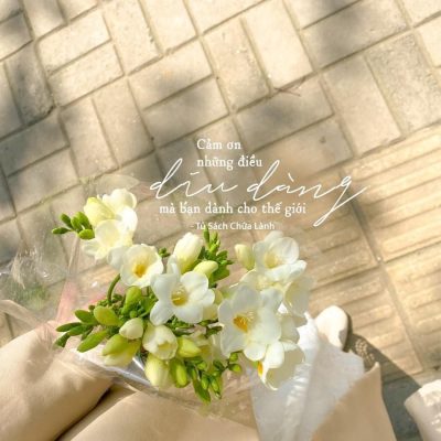Lựa chọn caption thơ mùa hạ
