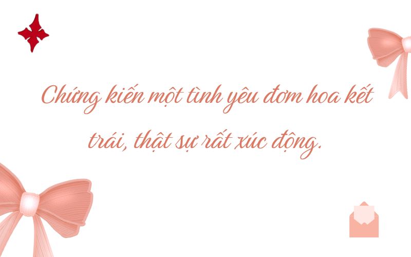 Caption, STT đám cưới đăng mạng xã hội cực thu hút