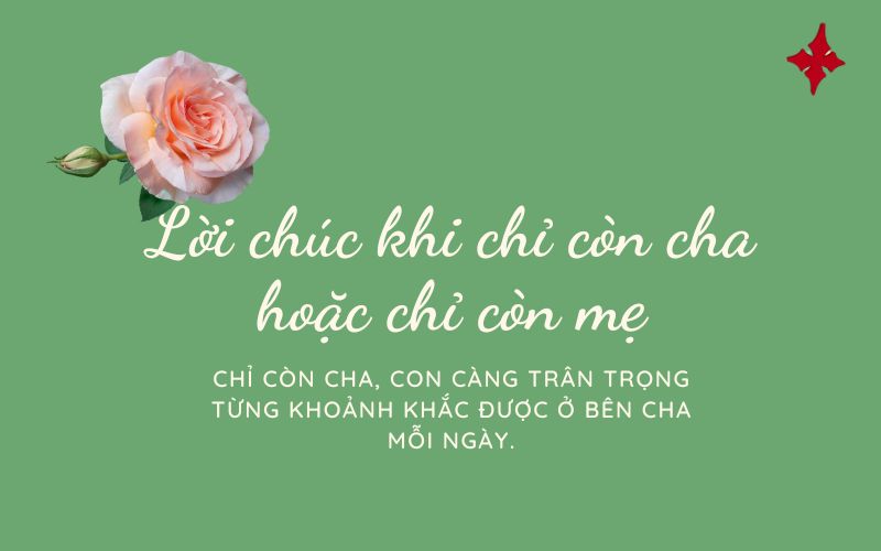 Lời chúc khi chỉ còn cha hoặc chỉ còn mẹ