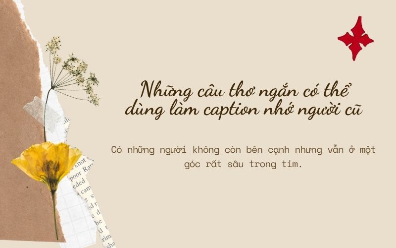 Những câu thơ ngắn có thể dùng làm caption nhớ người cũ